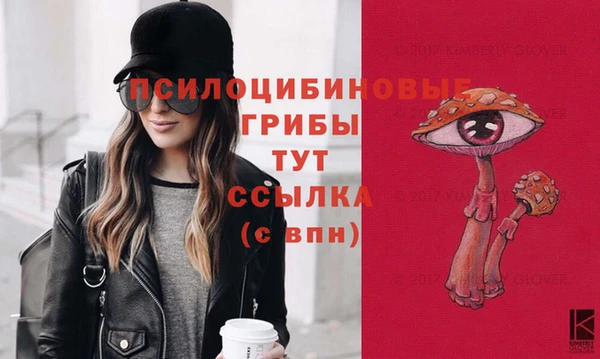 меф Саяногорск