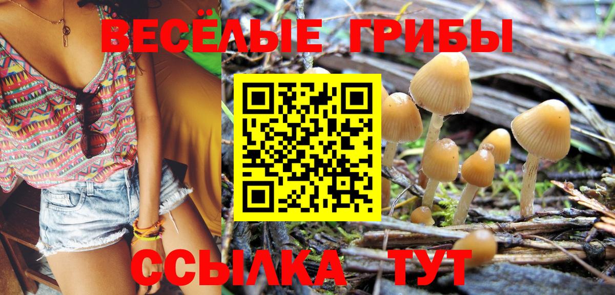 Галлюциногенные грибы MAGIC MUSHROOMS  Вход с VPN  Зима 